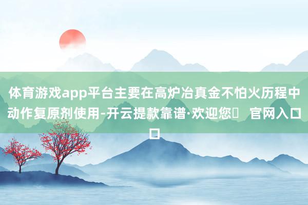 体育游戏app平台主要在高炉冶真金不怕火历程中动作复原剂使用-开云提款靠谱·欢迎您✅ 官网入口